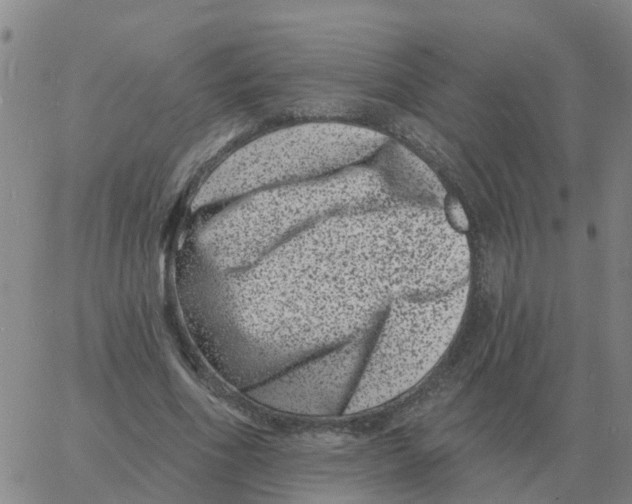 X0000060790586200512082126