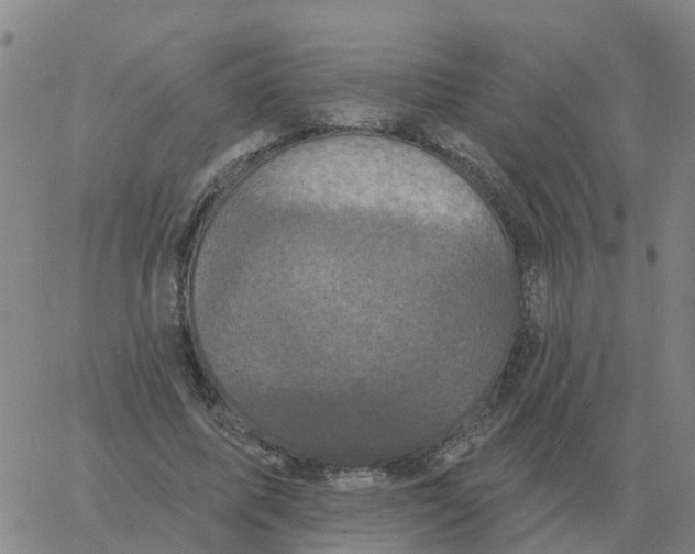 X0000060790587200512082126