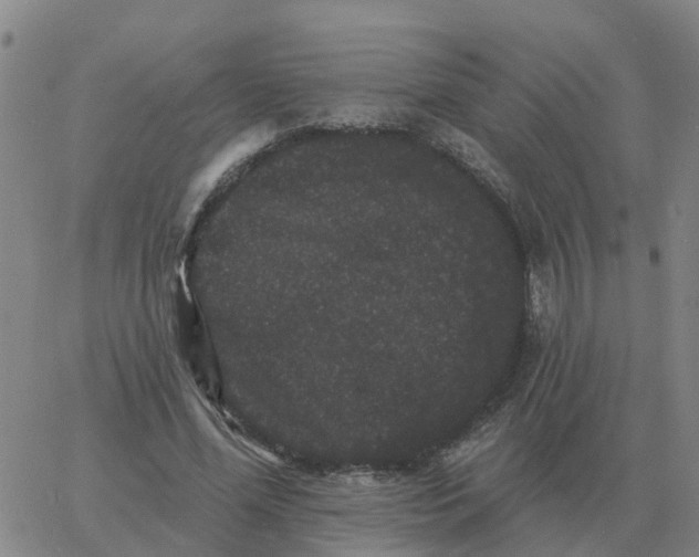 X0000060790588200512082126