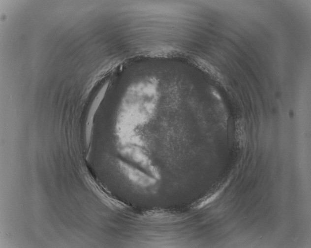 X0000060790589200512082126