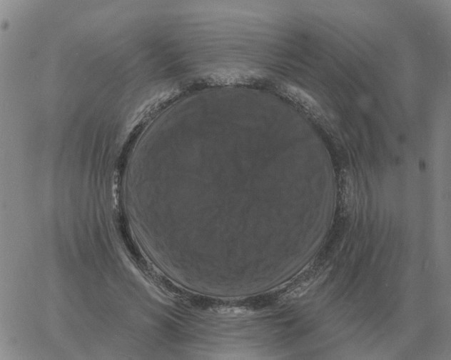 X0000060790590200512082126