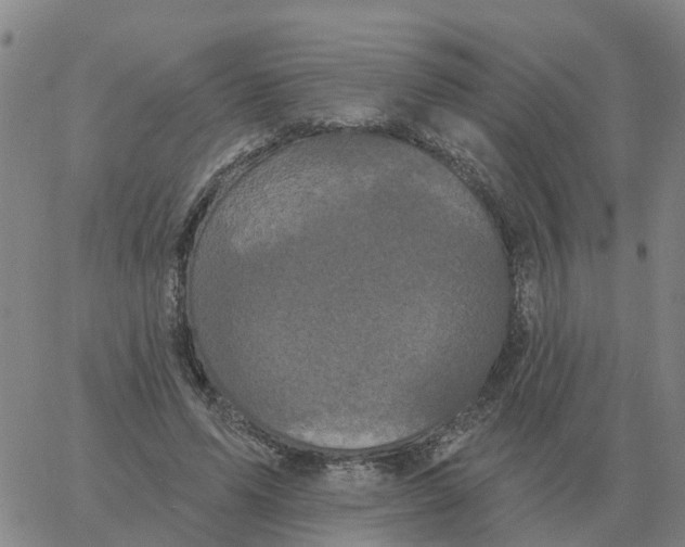 X0000060790591200512082126