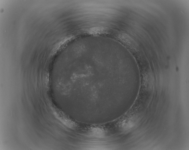 X0000060790592200512082126