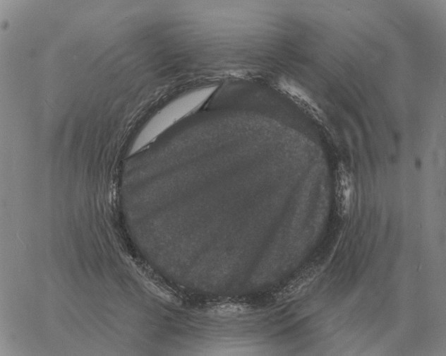 X0000060790593200512082126