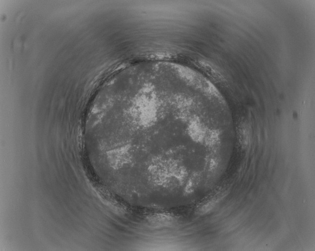 X0000060790594200512082126