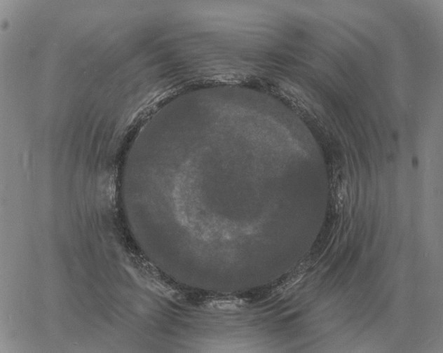 X0000060790595200512082126