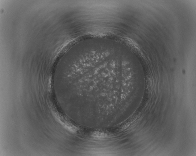 X0000060790596200512082126