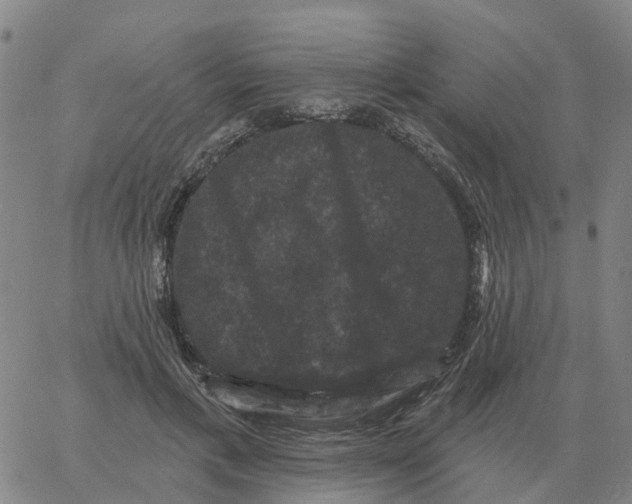 X0000060790597200512082126