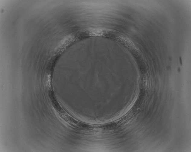 X0000060790598200512082126