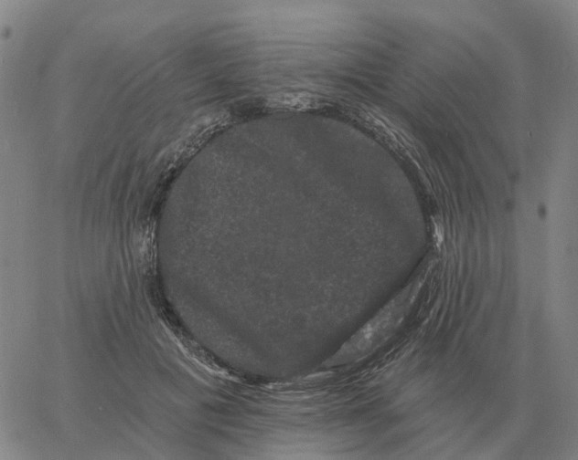 X0000060790601200512082126