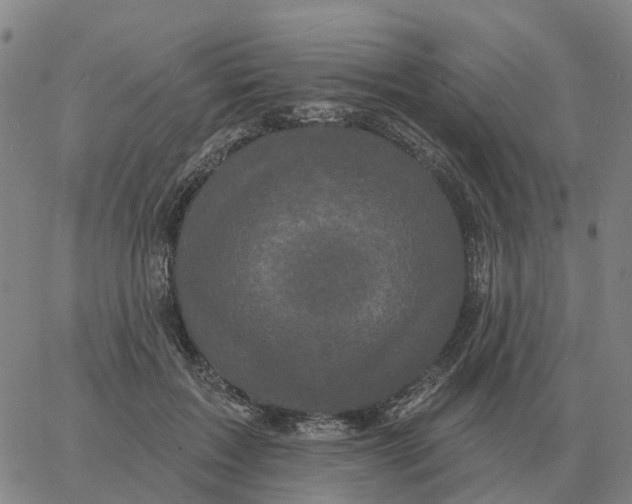 X0000060790603200512082126