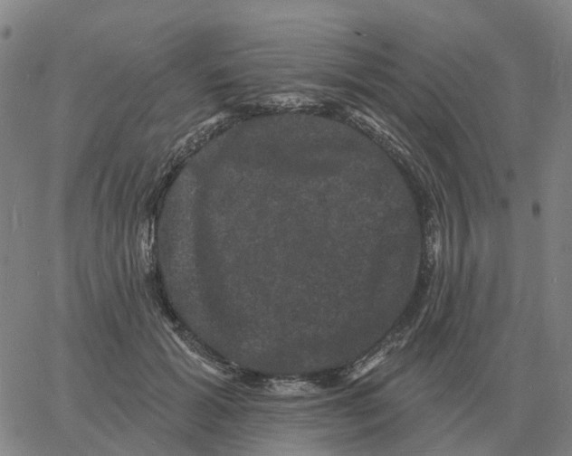 X0000060790605200512082126