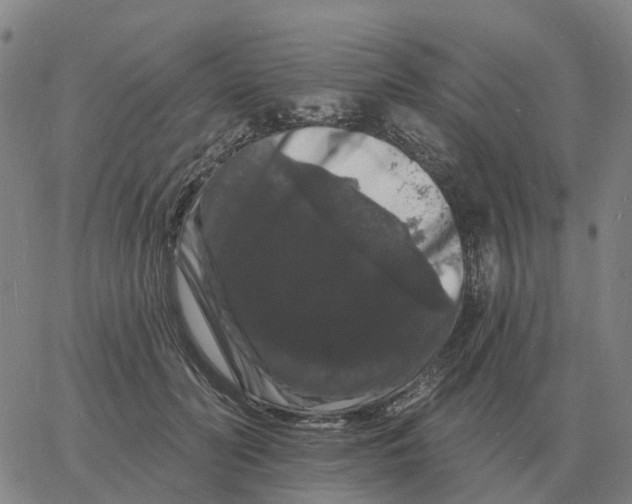 X0000060790606200512082126