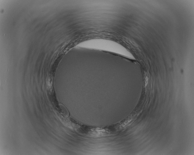 X0000060790607200512082126