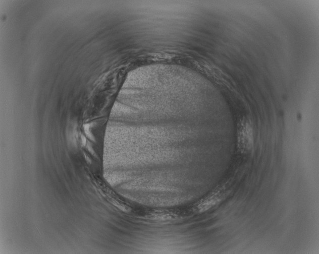 X0000060790608200512082126