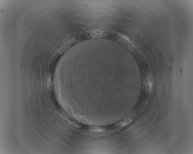 X0000060790610200512082126