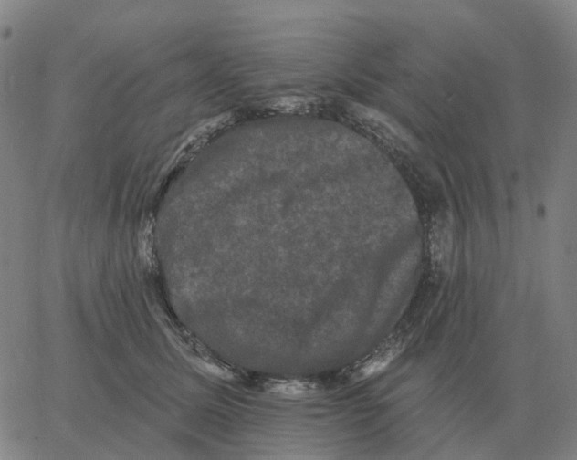 X0000060790611200512082126