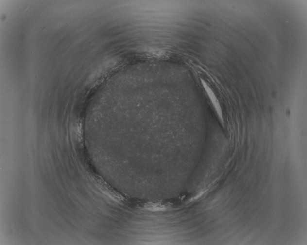 X0000060790613200512082126