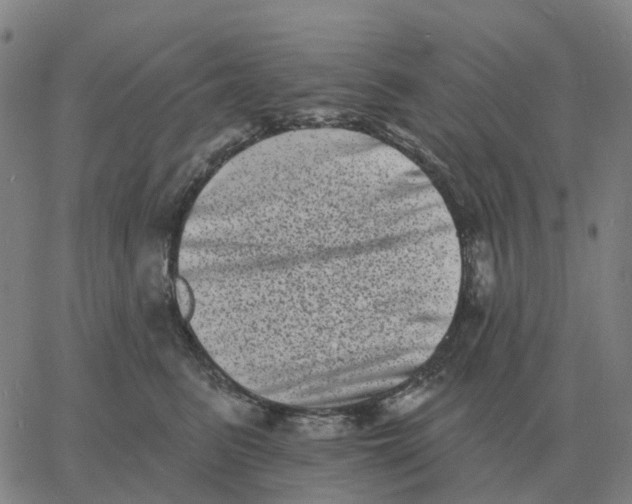 X0000060790615200512082126