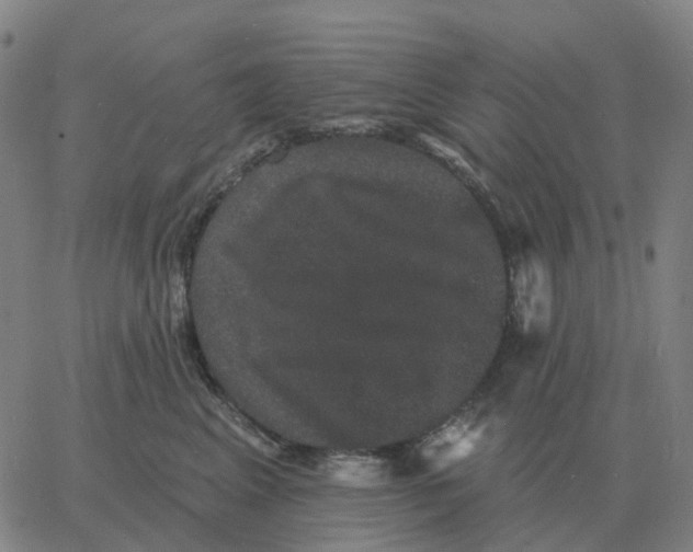 X0000060790617200512082126