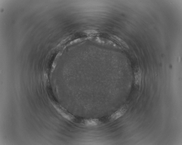 X0000060790618200512082126