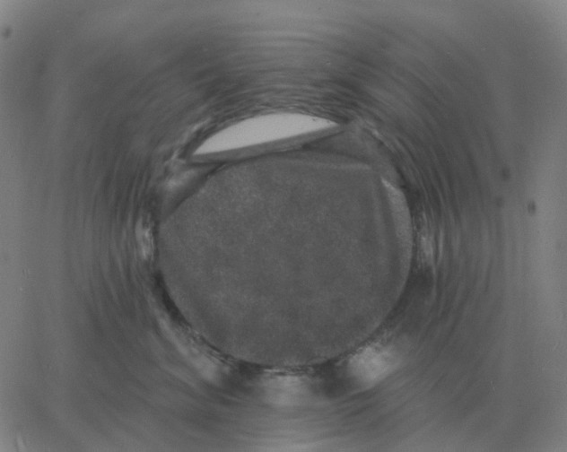 X0000060790620200512082126