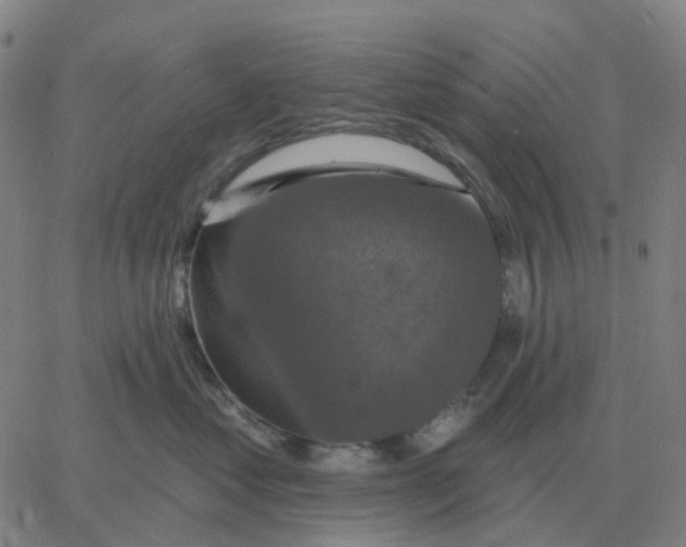 X0000060790621200512082126