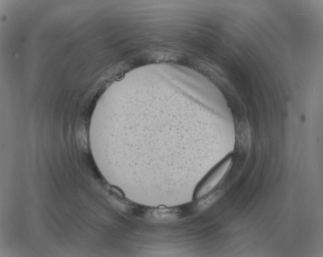 X0000060790622200512082126