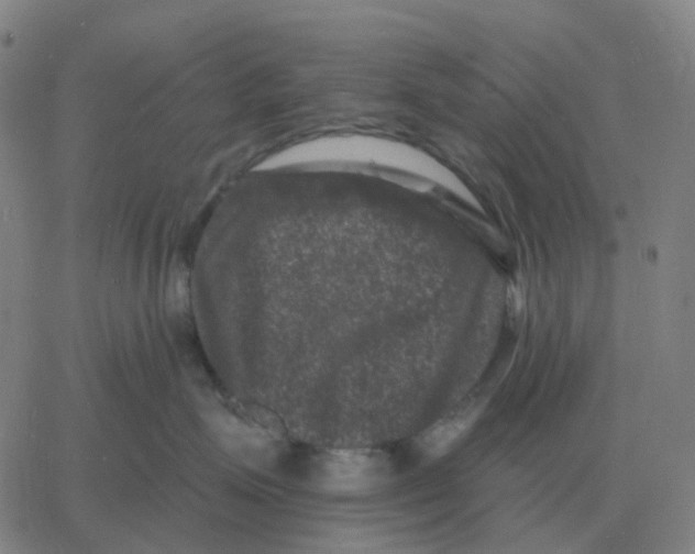 X0000060790623200512082126