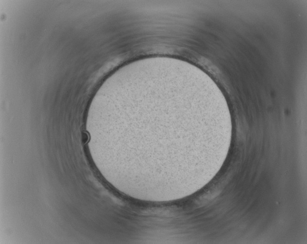 X0000060790625200512082125