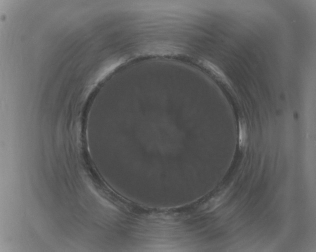 X0000060790627200512082125