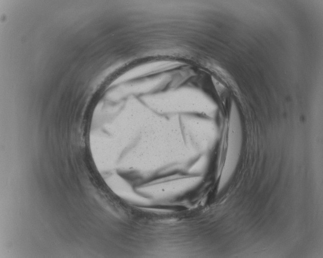 X0000060790628200512082125