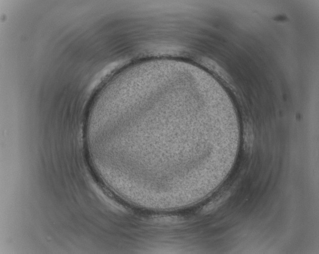 X0000060790629200512082125