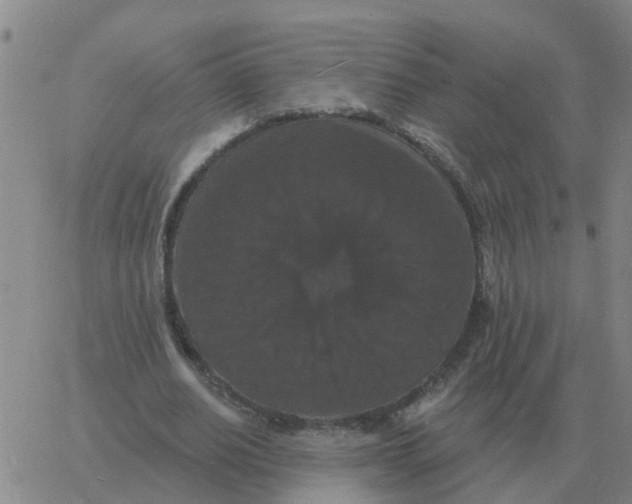 X0000060790630200512082125