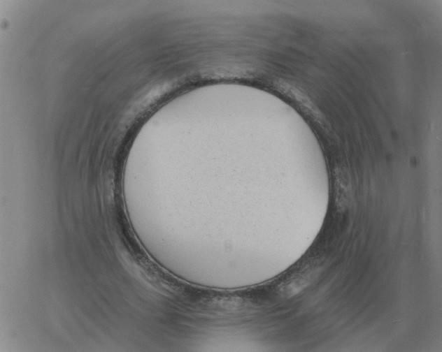 X0000060790631200512082125