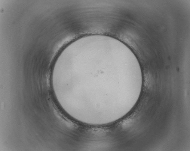 X0000060790632200512082125