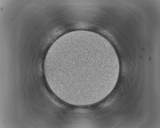 X0000060790633200512082125