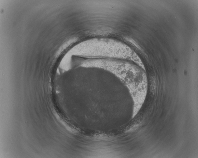 X0000060790634200512082125