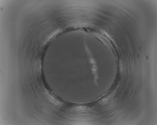 X0000060790637200512082125