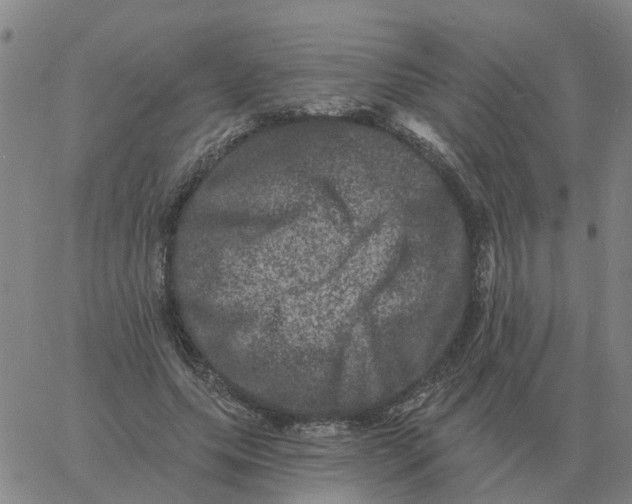 X0000060790639200512082125