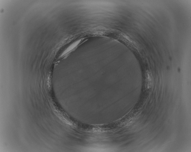 X0000060790641200512082125