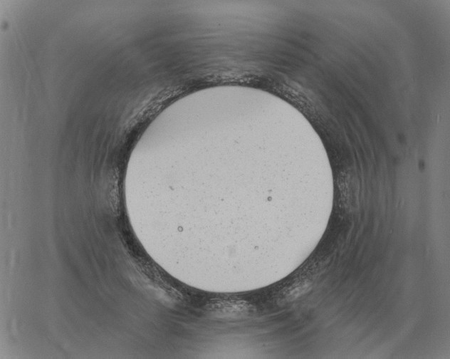 X0000060790642200512082125