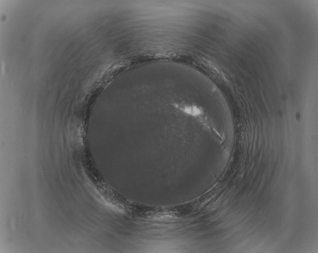 X0000060790643200512082125