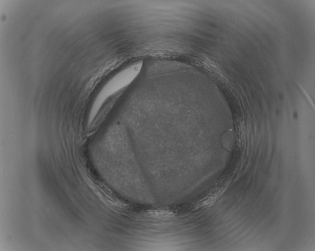 X0000060790644200512082125