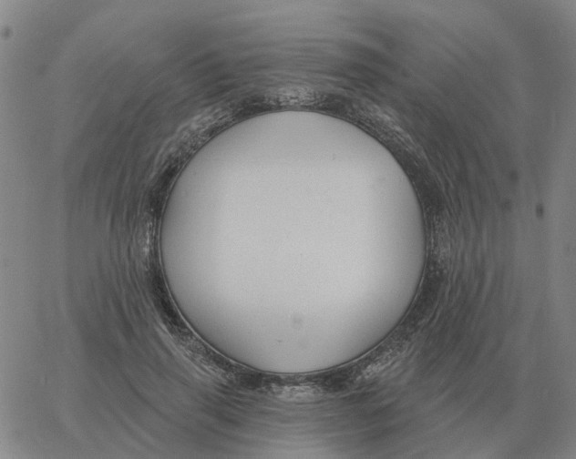 X0000060790645200512082125