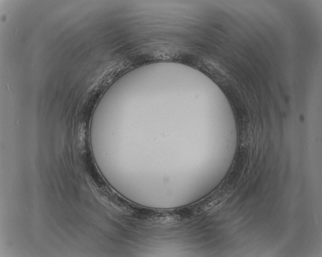 X0000060790646200512082125