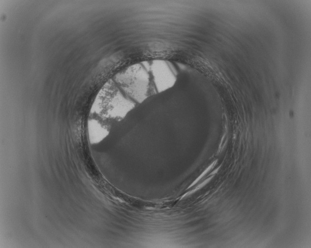 X0000060790647200512082125