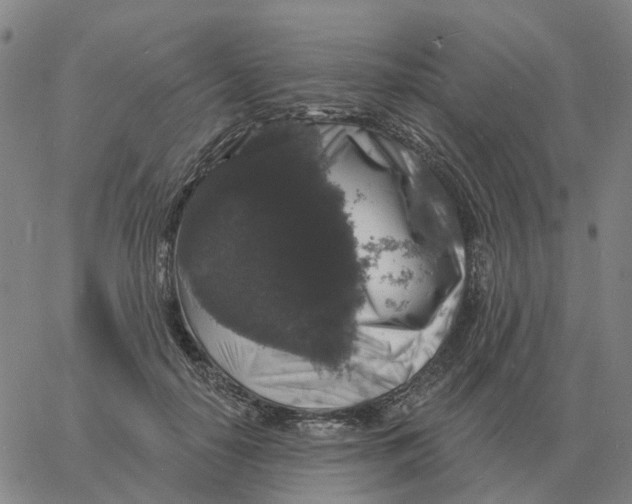 X0000060790650200512082125