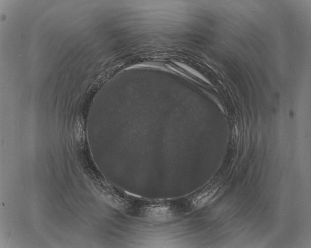 X0000060790651200512082125