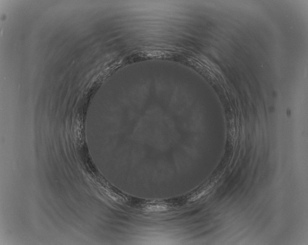 X0000060790653200512082125